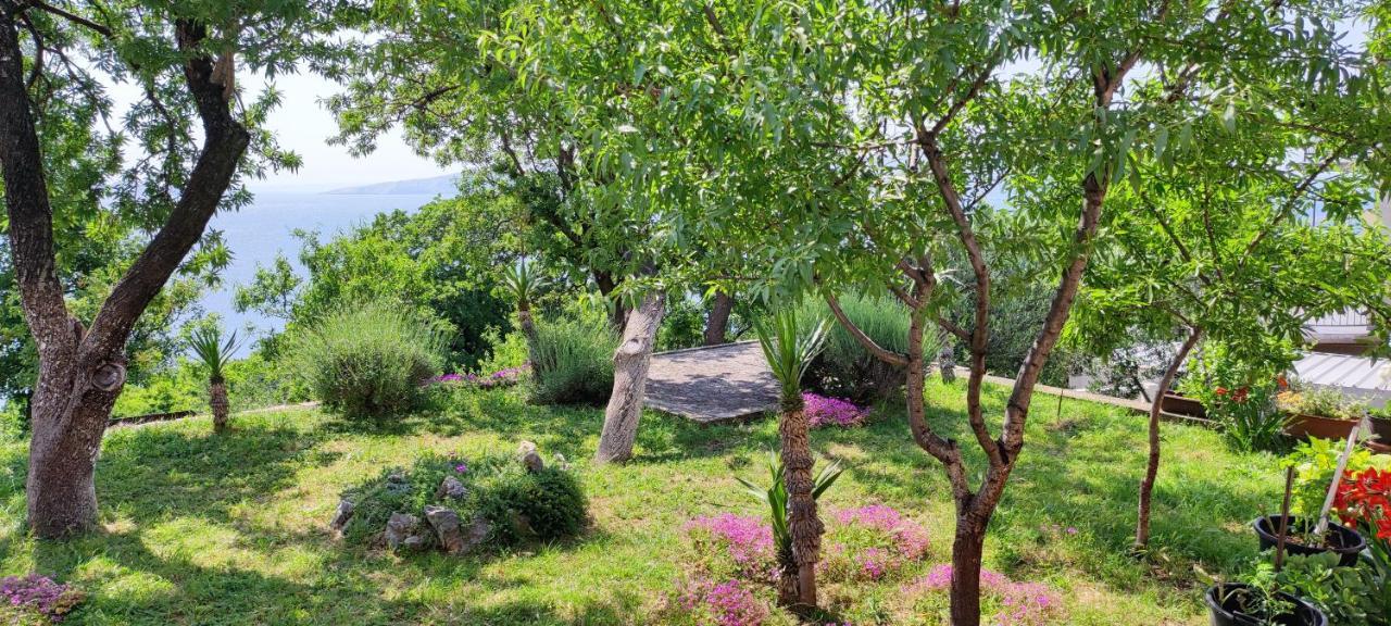 Appartement Biondic